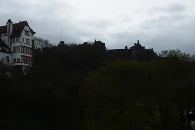 DSC_7323 (Large).JPG